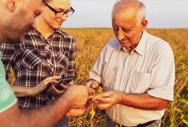 Farm Insurance Options